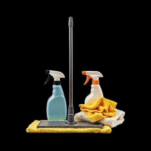 Home Deep Cleaning
